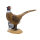 SRT 3D Pheasant - Fasan