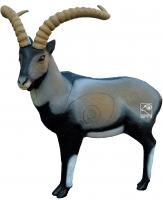 SRT 3D Iberian Ibex