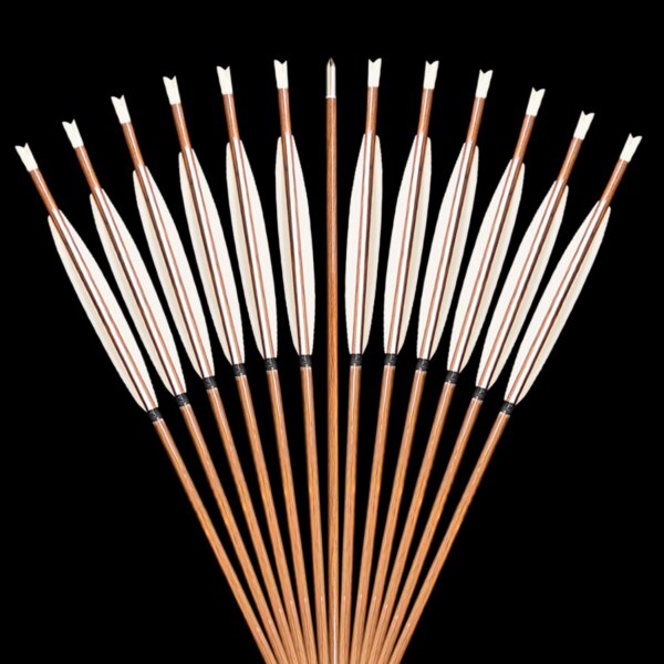 Qing Arrow