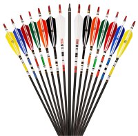 Mix Carbon Arrow 85cm