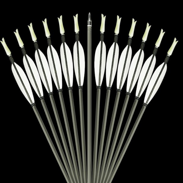 Speed Shooting Arrow