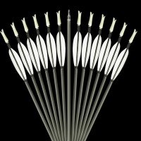Speed Shooting Arrow